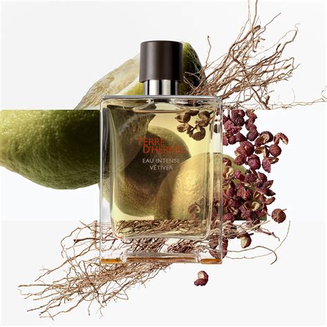 terre d hermes parfum women|terre hermes perfume price.